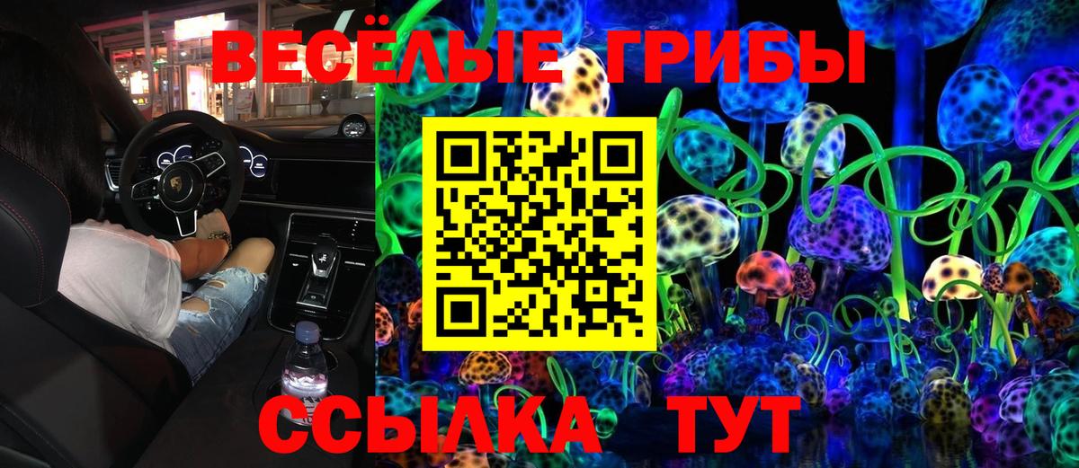 Псилоцибиновые грибы MAGIC MUSHROOMS Салават