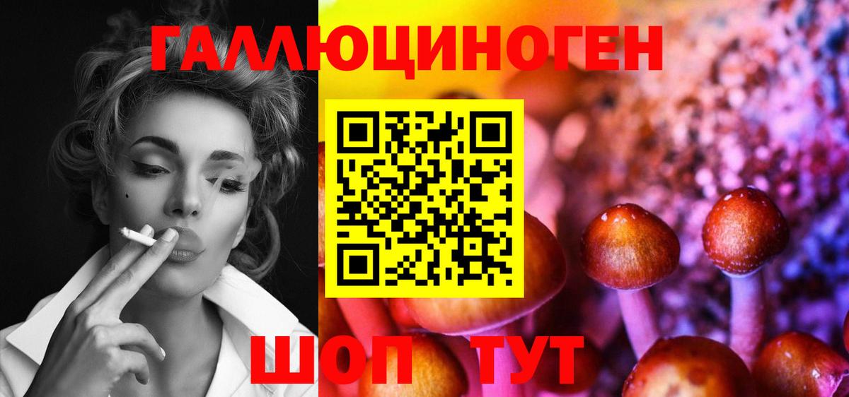 Галлюциногенные грибы прущие грибы  Псилоцибиновые грибы мицелий  Салават  Вход с VPN 